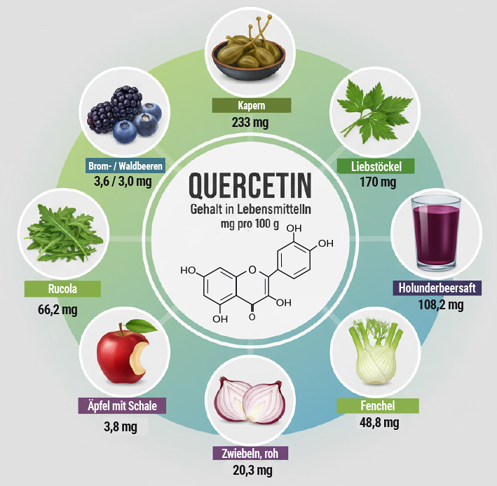Lebensmittel mit viel Quercetin
