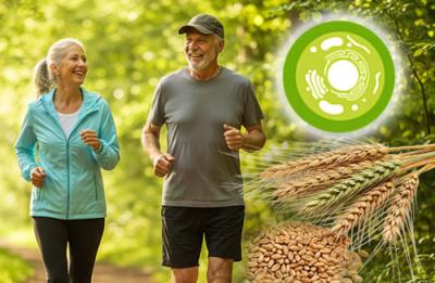 Nährstoffe für die Zellgesundheit (Spermidin)