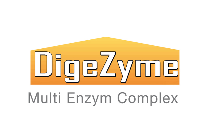 Digezyme