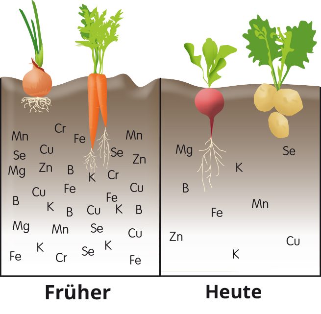 Nährstoffgehalt im Boden früher zu heute